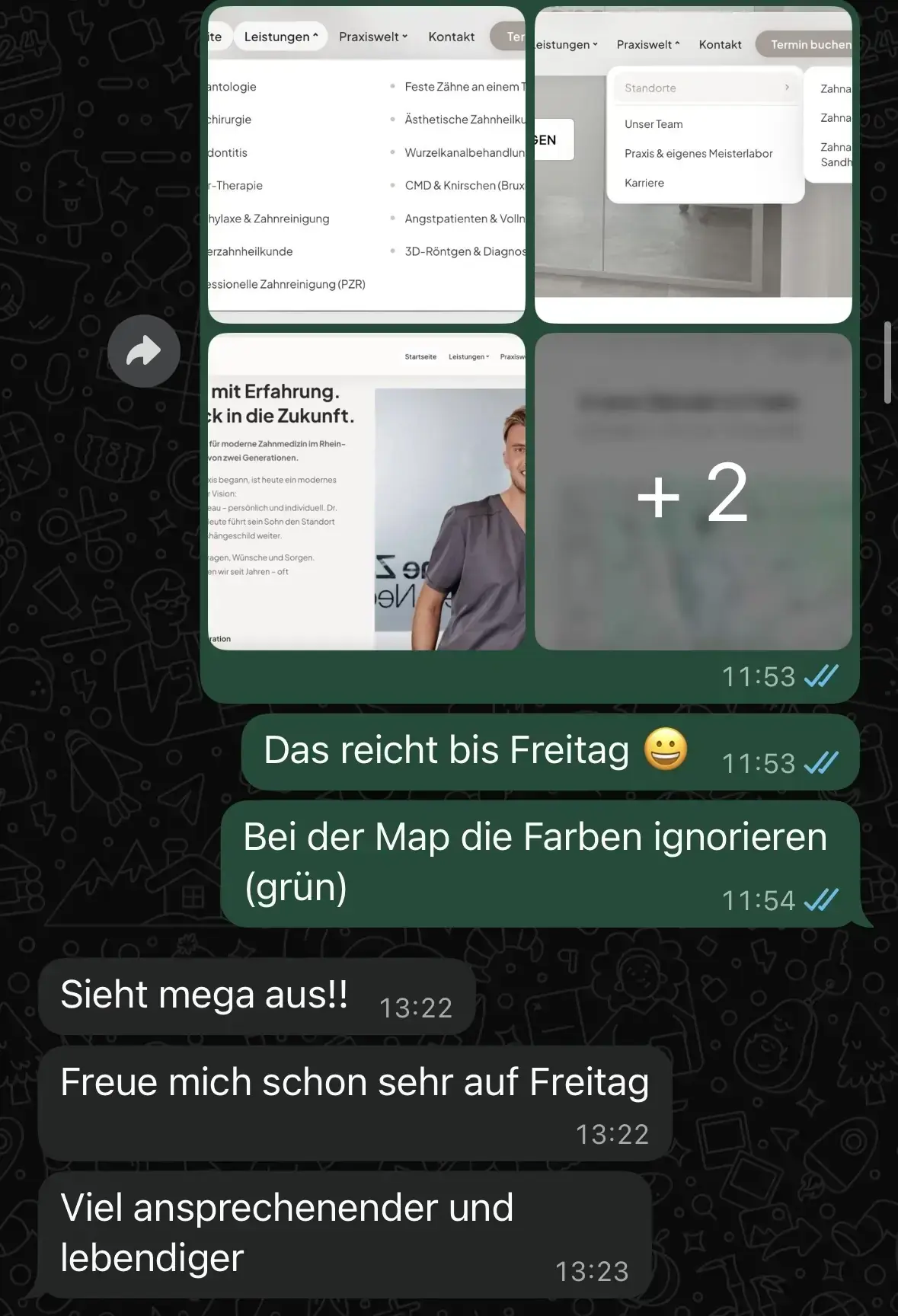 WhatsApp-Chat Auszug 2
